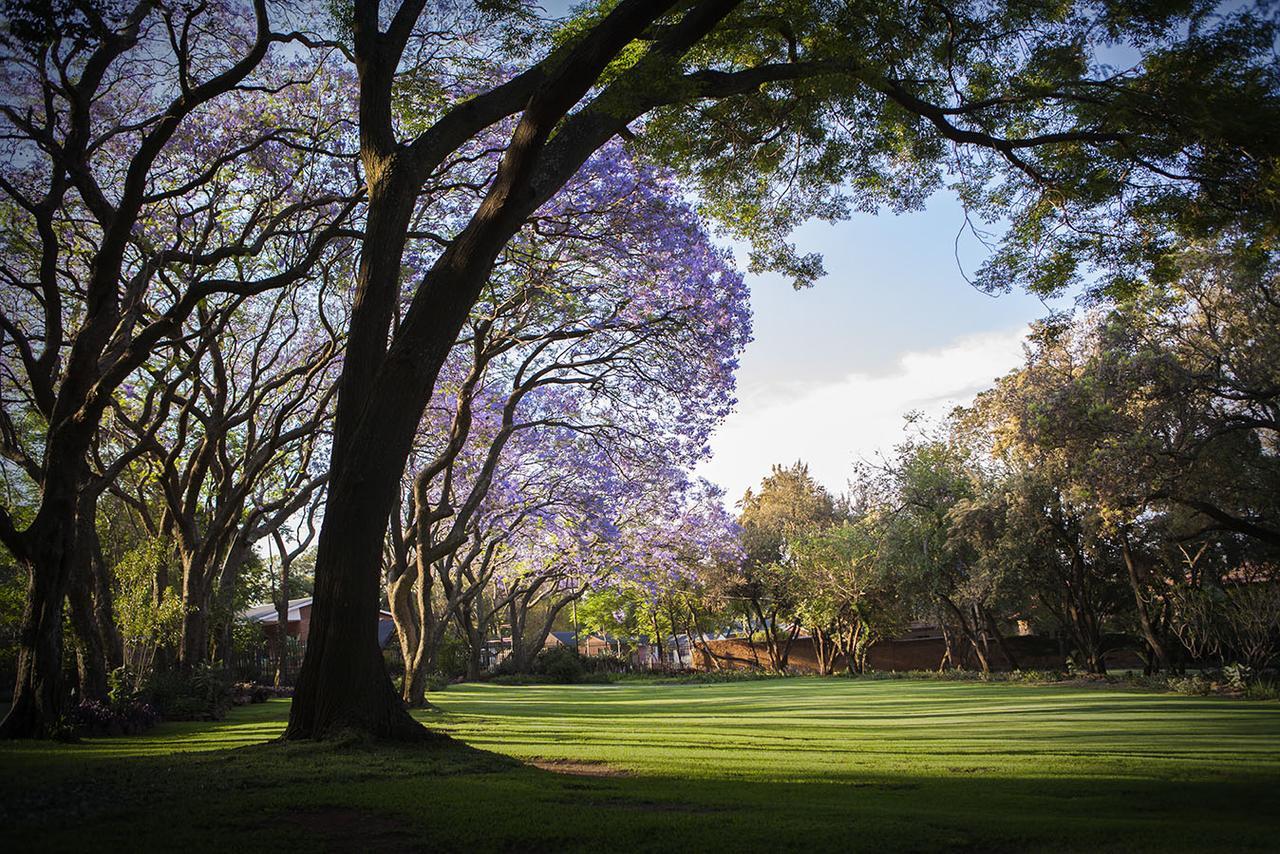 Pierneef'S Kraal Hotell Pretoria-Noord Eksteriør bilde